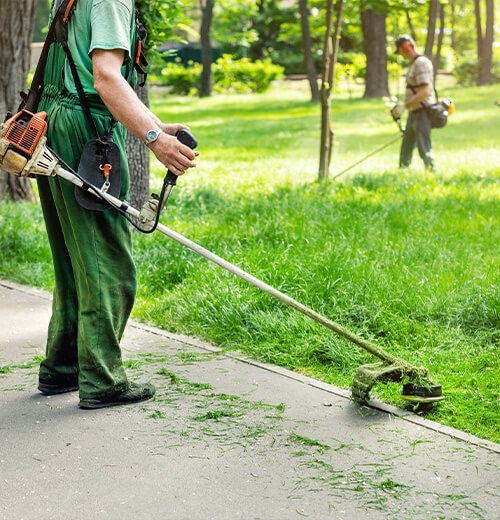 Kommunen & Gemeinden